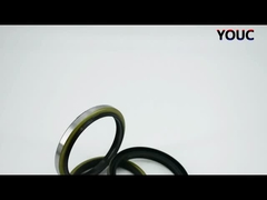 黒 DKBI DKB 粉末油封印 水力シリンダー粉末封印 NBR PU ワイパー封印